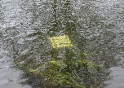 Provinz Gauting Wasser Würm - Wolfram Glaser - fotografie & film
