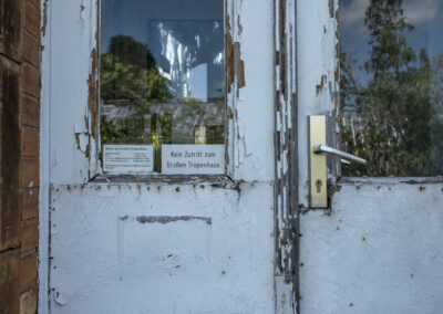 Halle Saale Tropenhaus Farbe - Wolfram Glaser - fotografie & film